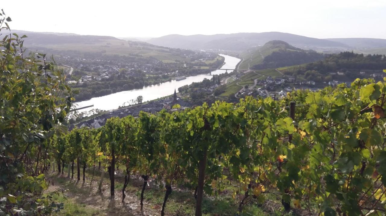 Fewo Sonnenlay - Apartments An Der Mosel Brauneberg Εξωτερικό φωτογραφία
