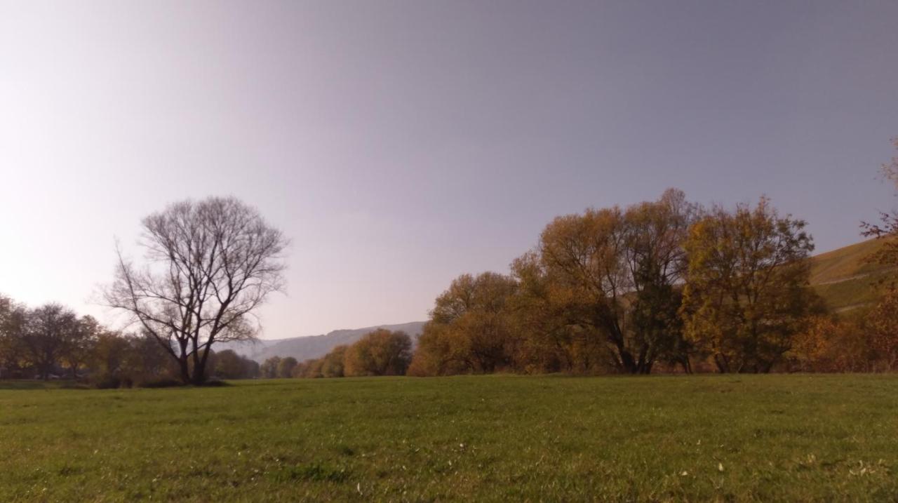Fewo Sonnenlay - Apartments An Der Mosel Brauneberg Εξωτερικό φωτογραφία