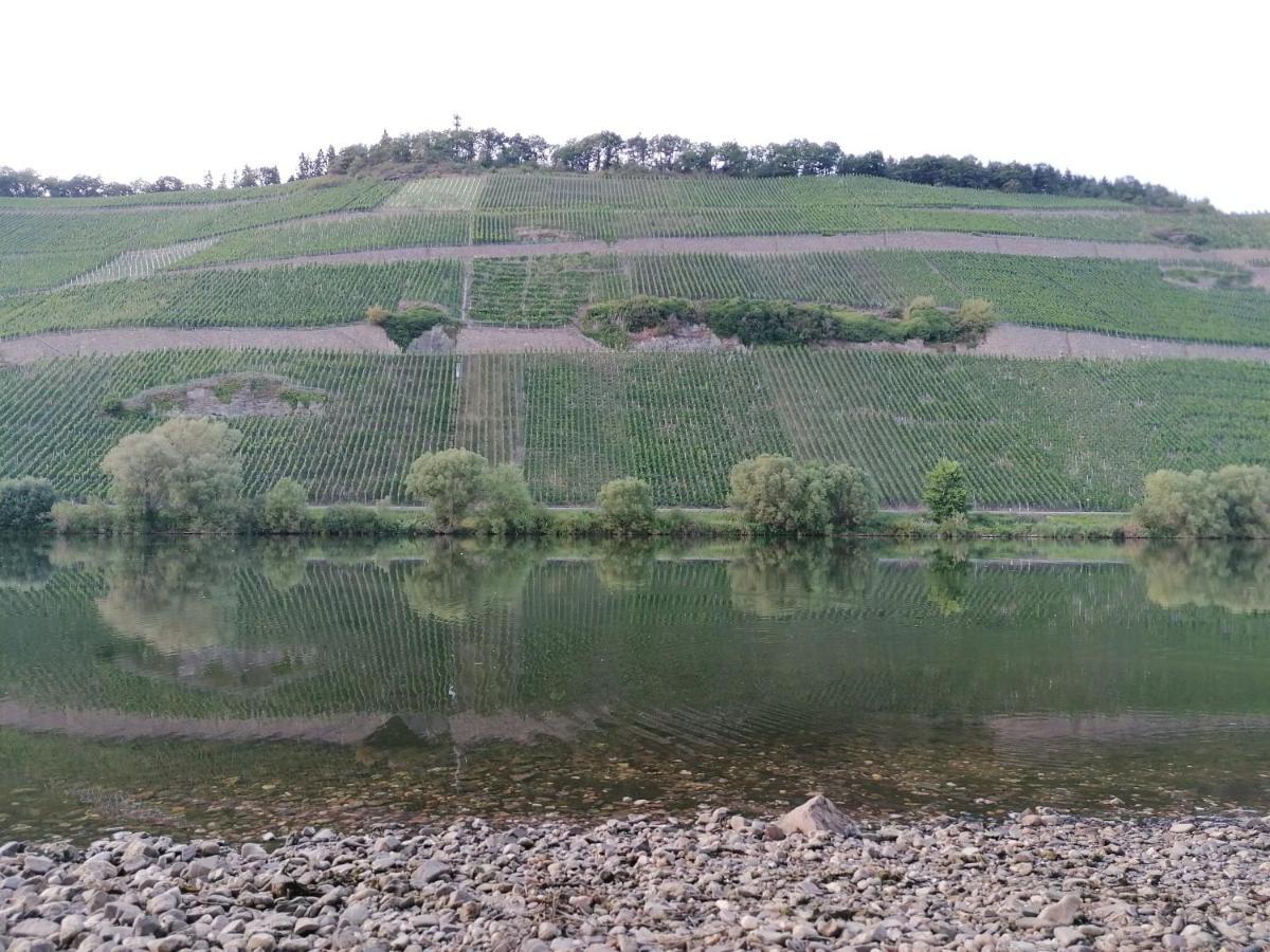 Fewo Sonnenlay - Apartments An Der Mosel Brauneberg Εξωτερικό φωτογραφία