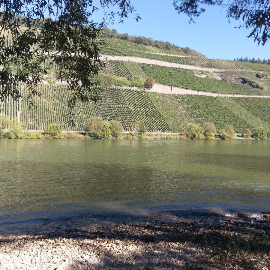 Fewo Sonnenlay - Apartments An Der Mosel Brauneberg Εξωτερικό φωτογραφία